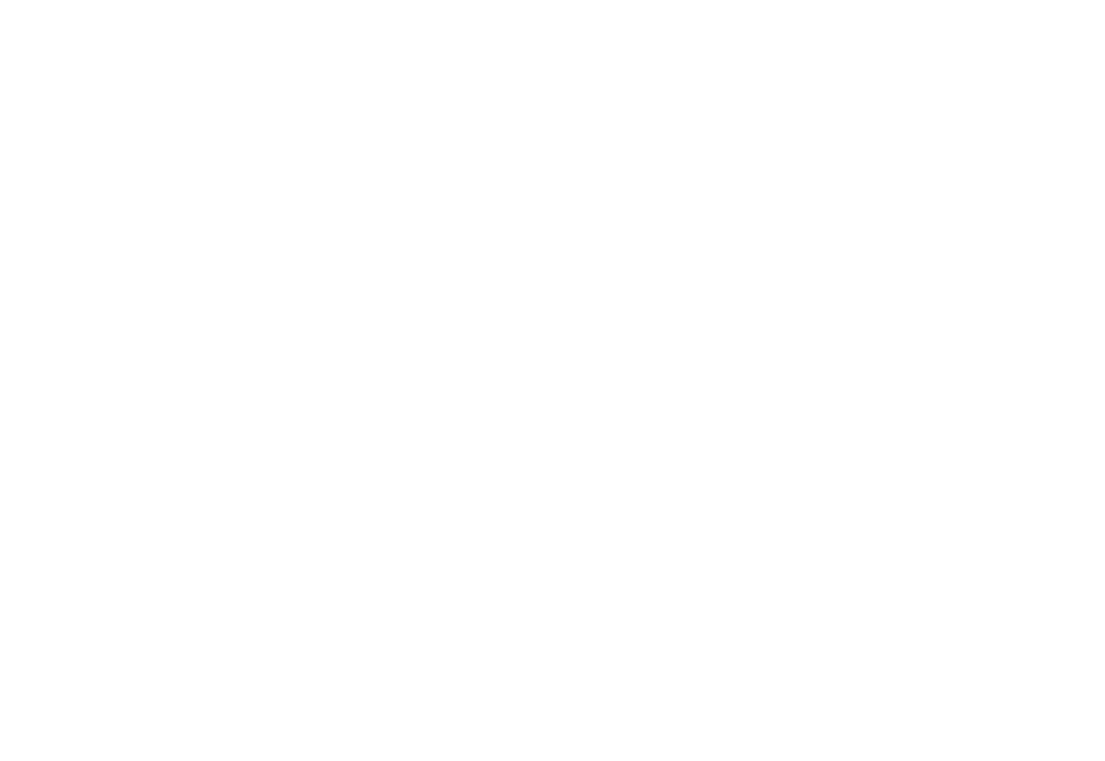 I Wood build
